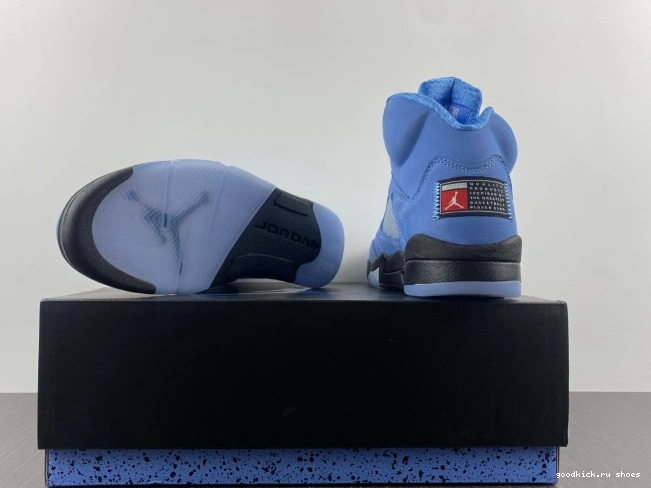 Rep 5 UNC DV1310-401 Air Jordan 0701